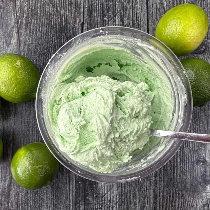 Keto Key Coconut Ice Cream served in a bowl with coconut flakes.