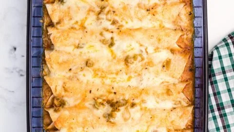 Low carb white chicken enchiladas topped with cheese and cilantro